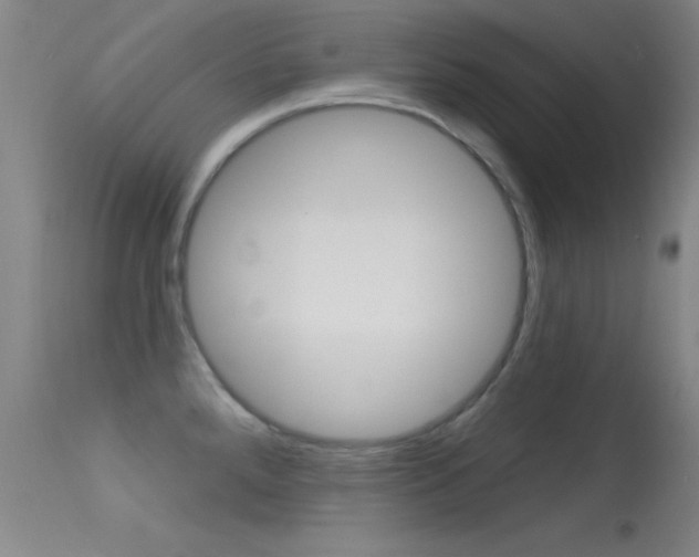 X0000113531288200909180951