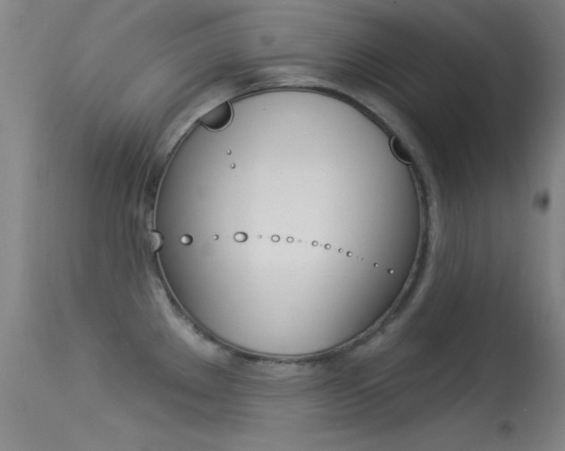 X0000113531289200909180951
