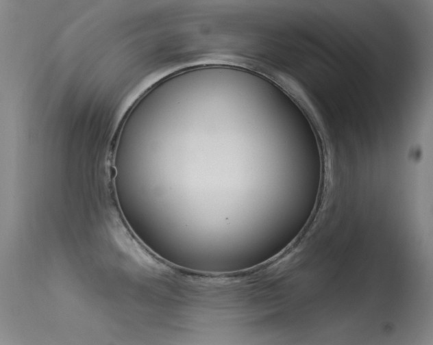 X0000113531292200909180951