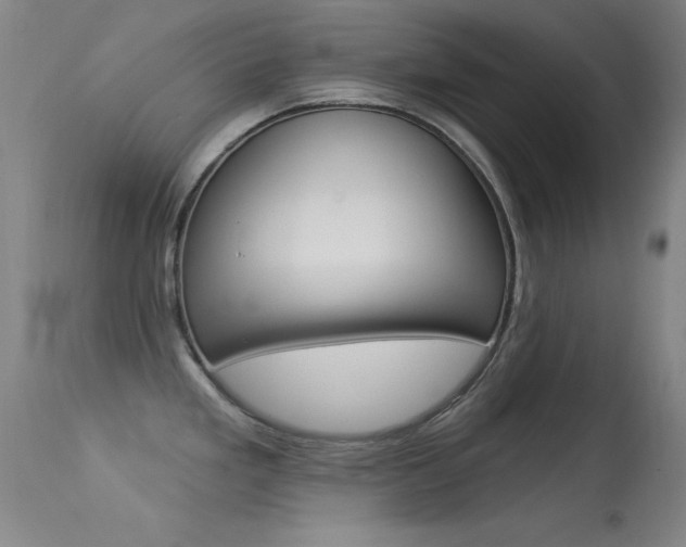 X0000113531293200909180951