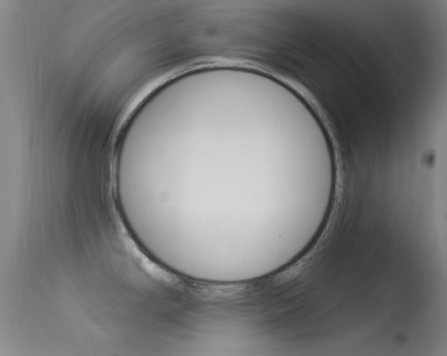 X0000113531294200909180951