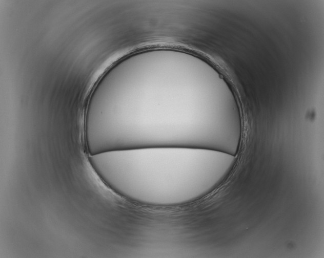 X0000113531295200909180951
