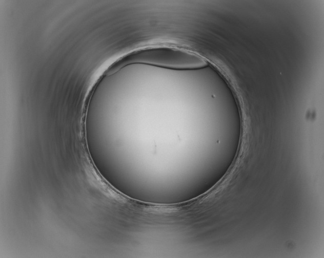 X0000113531296200909180951