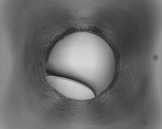 X0000113531297200909180951