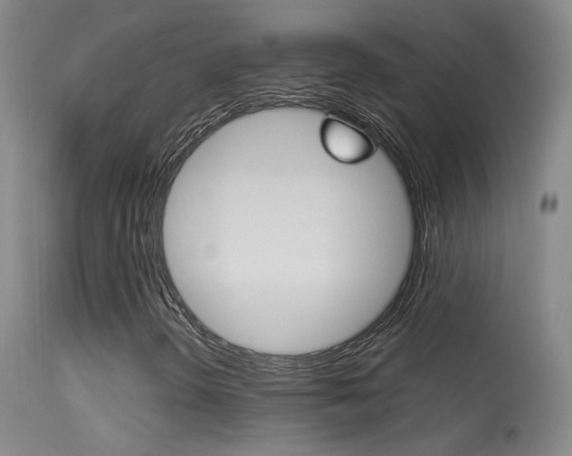 X0000113531298200909180951