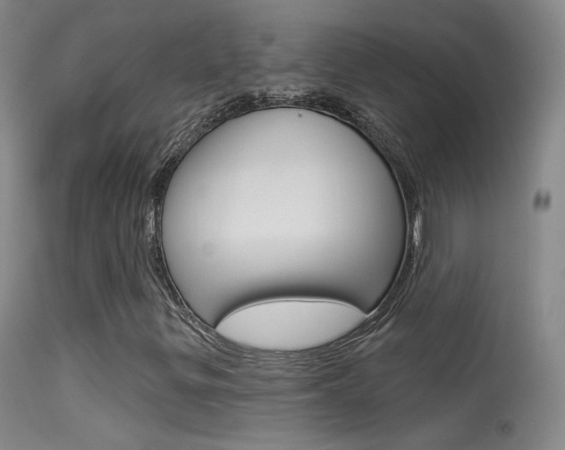 X0000113531299200909180951