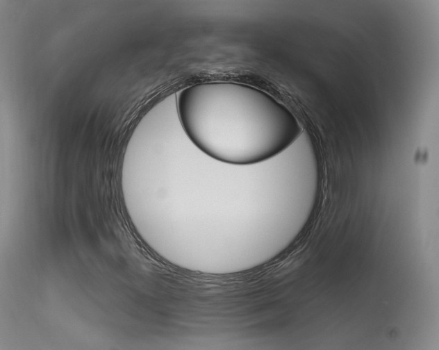 X0000113531300200909180951