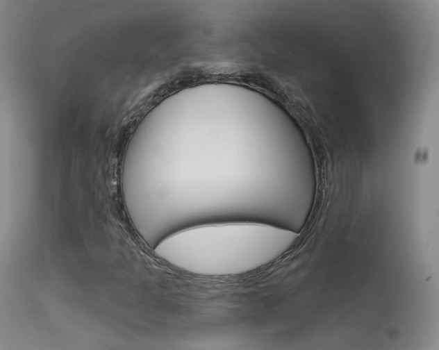 X0000113531301200909180951