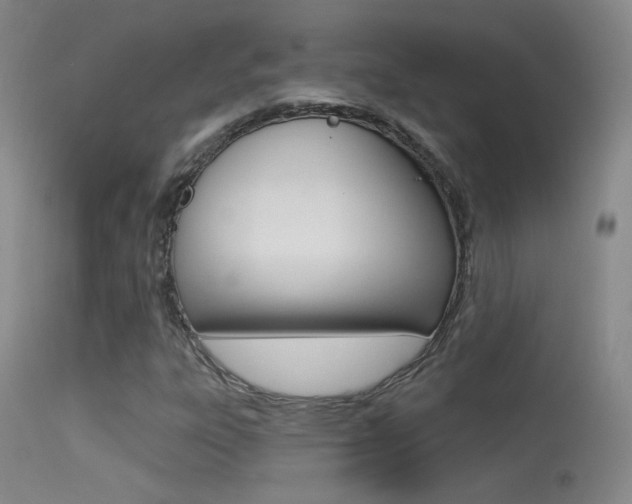 X0000113531303200909180951
