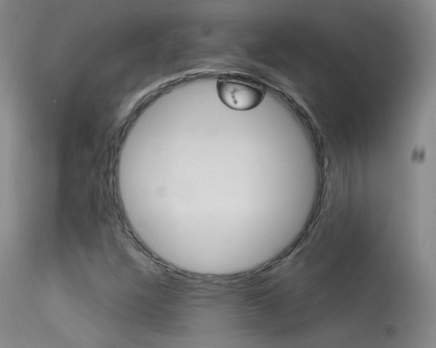 X0000113531304200909180951