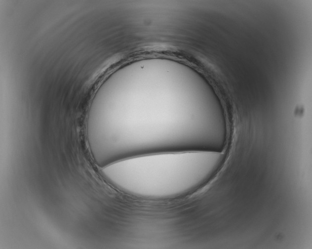 X0000113531305200909180951