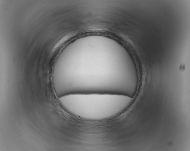 X0000113531306200909180951