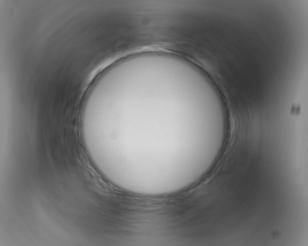 X0000113531308200909180951
