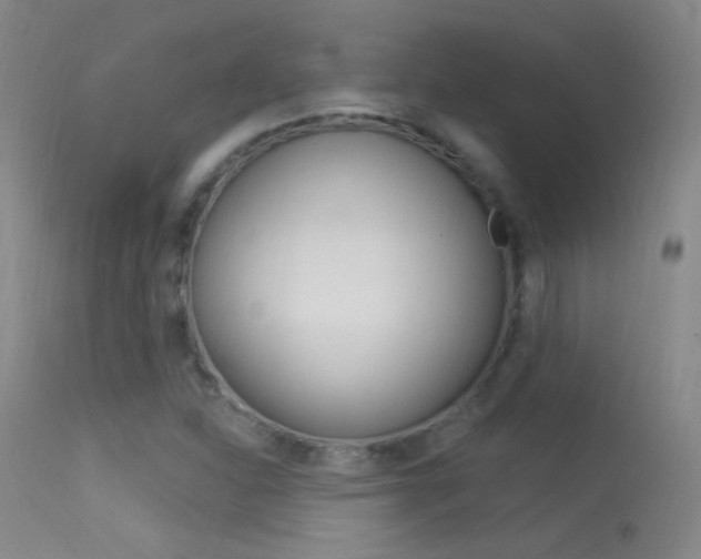 X0000113531310200909180951