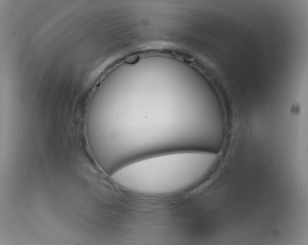 X0000113531313200909180951