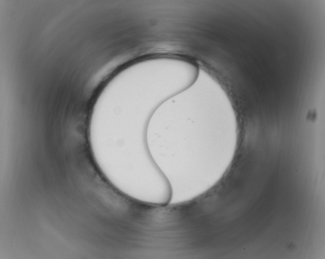 X0000113531314200909180951