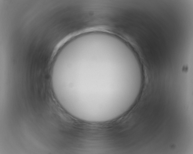 X0000113531316200909180951