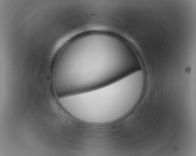 X0000113531319200909180951