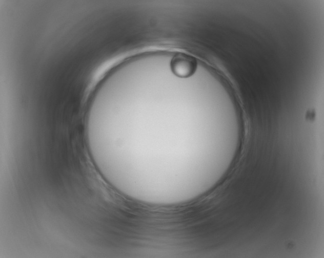 X0000113531320200909180951