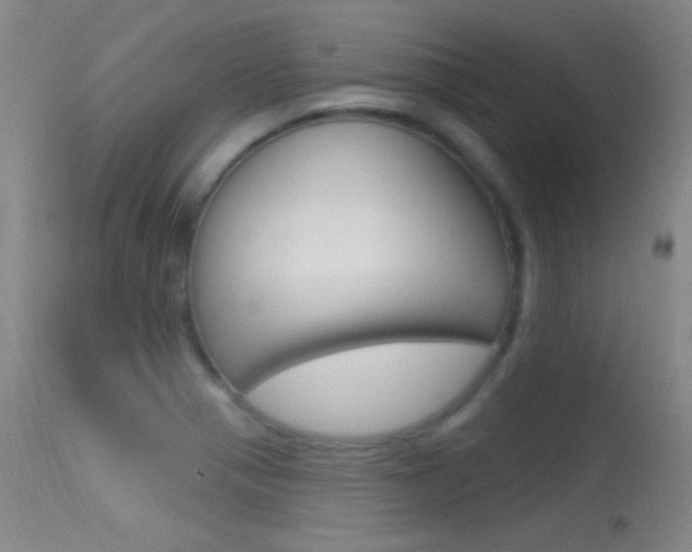 X0000113531321200909180951