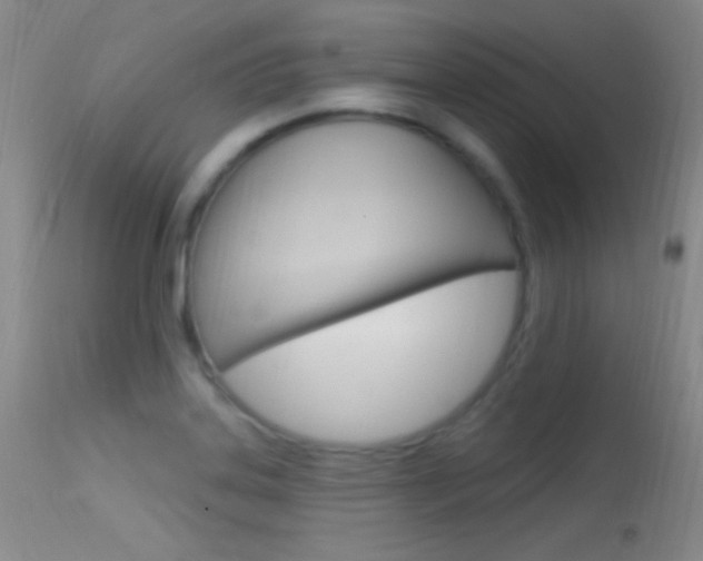 X0000113531323200909180951