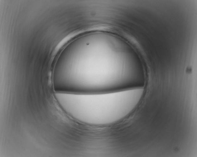X0000113531324200909180951