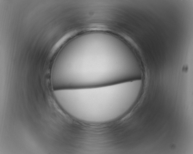 X0000113531325200909180951