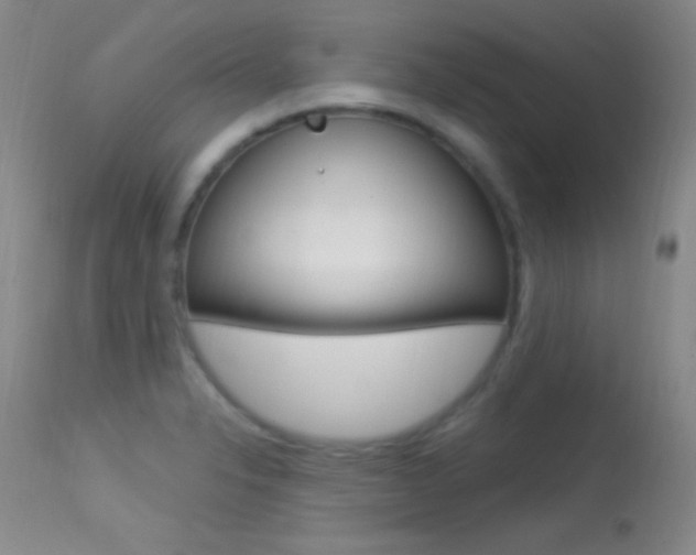 X0000113531326200909180951