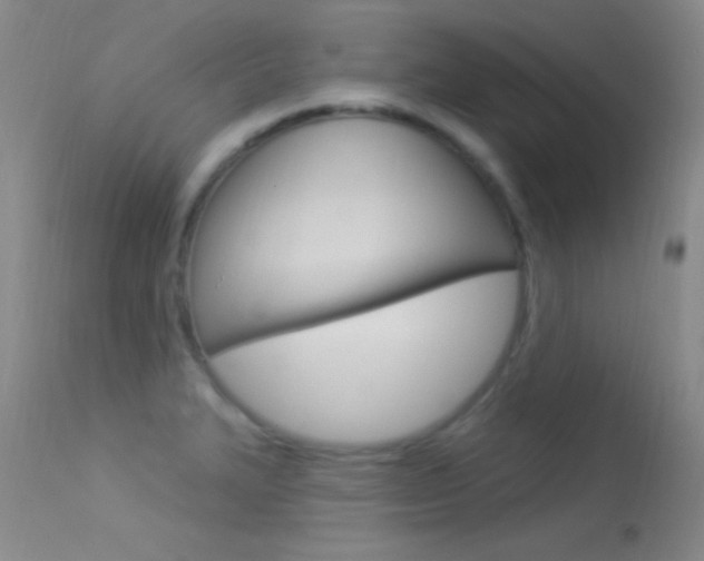 X0000113531327200909180951