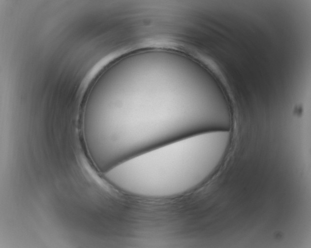 X0000113531331200909180951