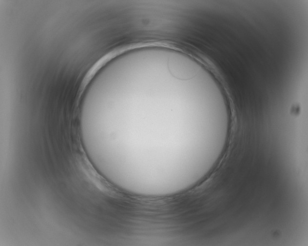 X0000113531332200909180951