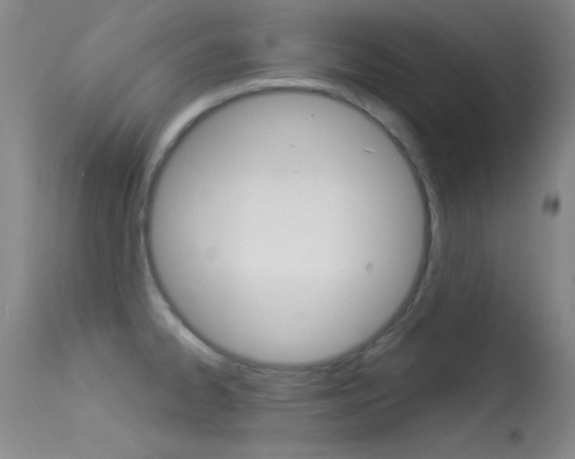 X0000113531334200909180951