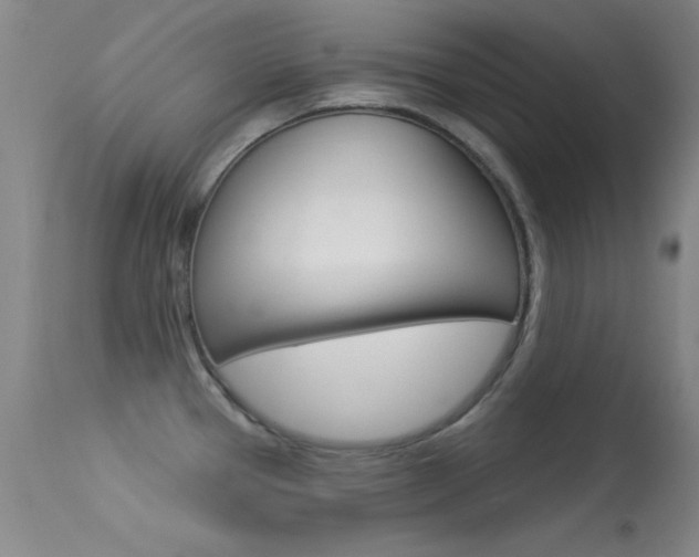 X0000113531337200909180951