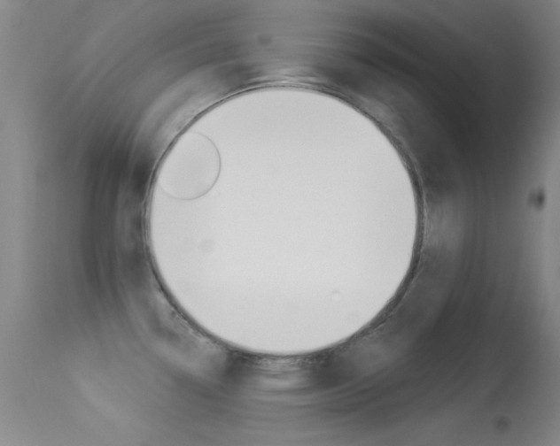 X0000113531338200909180951