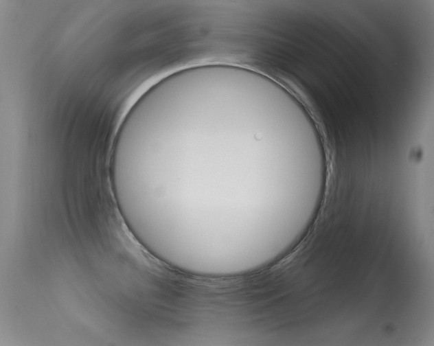 X0000113531340200909180951