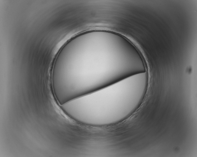 X0000113531341200909180951