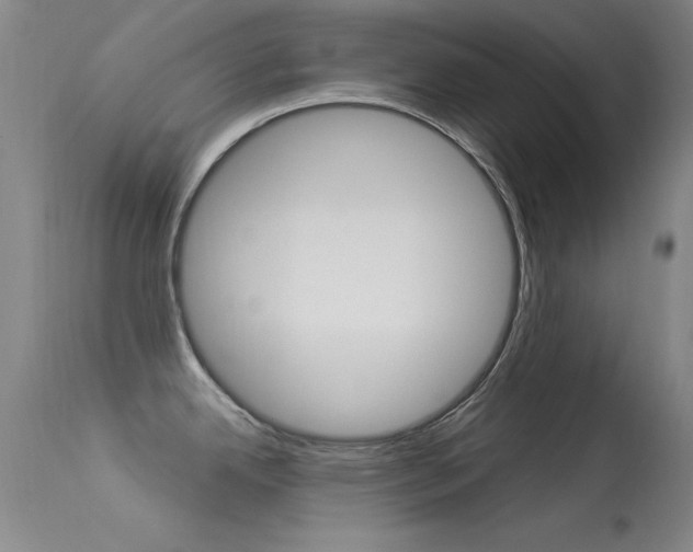 X0000113531342200909180951