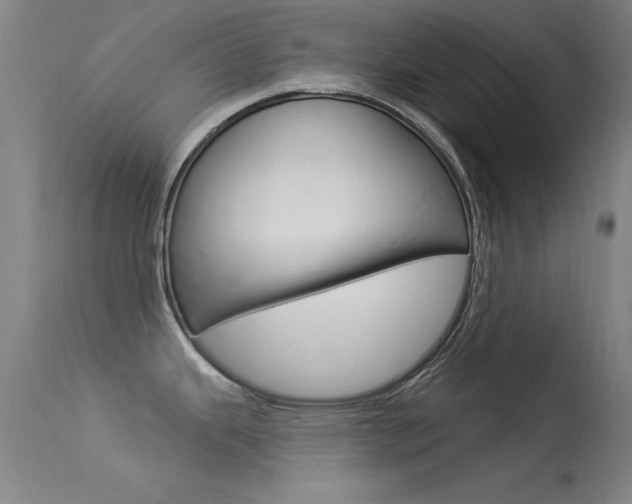 X0000113531343200909180951