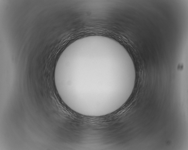 X0000113531345200909180951