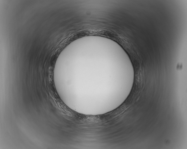 X0000113531346200909180951