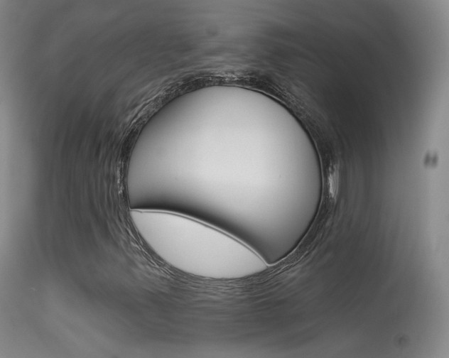 X0000113531347200909180951