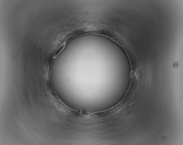 X0000113531348200909180950