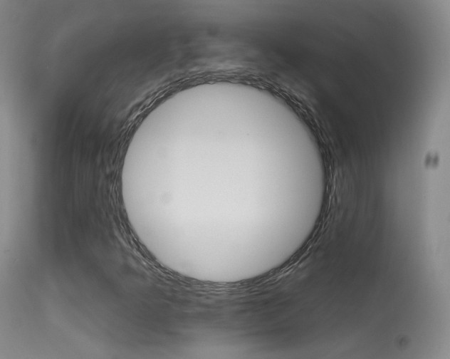 X0000113531349200909180950