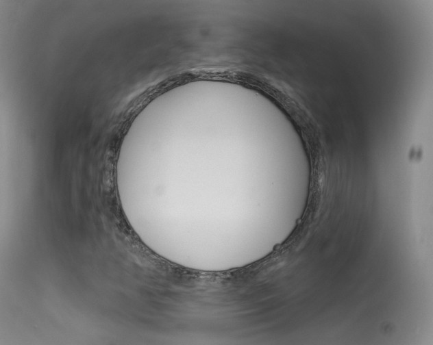 X0000113531350200909180950