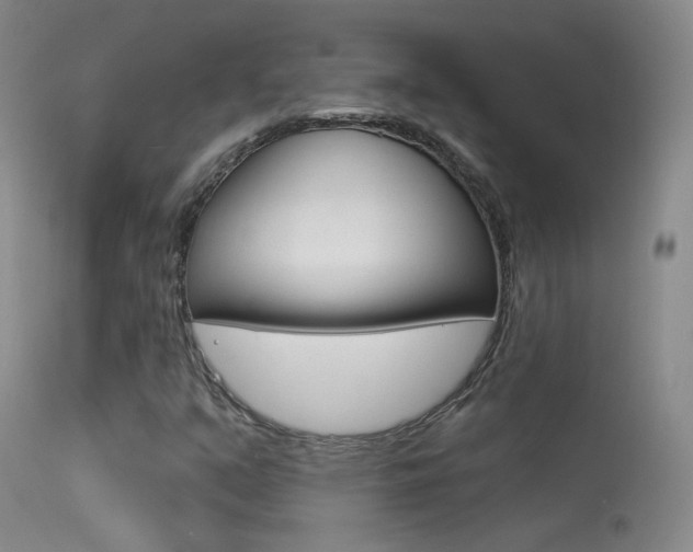 X0000113531351200909180950