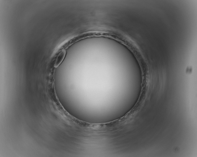 X0000113531352200909180950