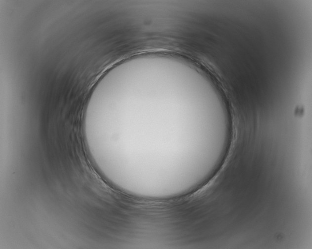 X0000113531353200909180950