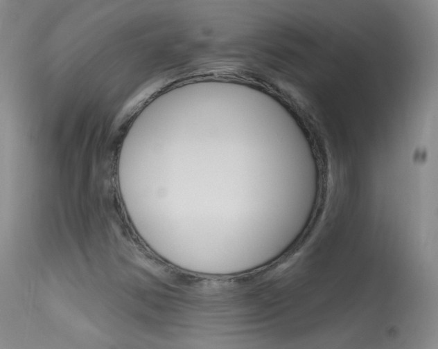 X0000113531354200909180950