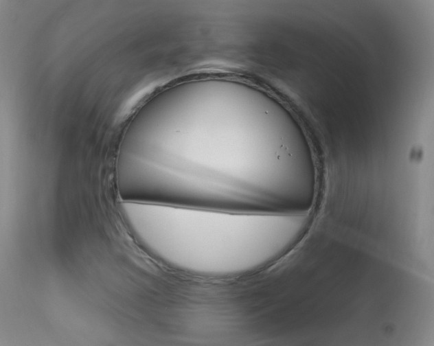 X0000113531355200909180950