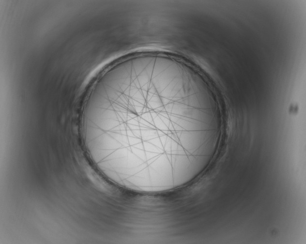X0000113531356200909180950